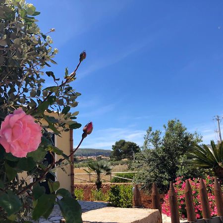 La Villa Dei Girasoli Custonaci Bagian luar foto