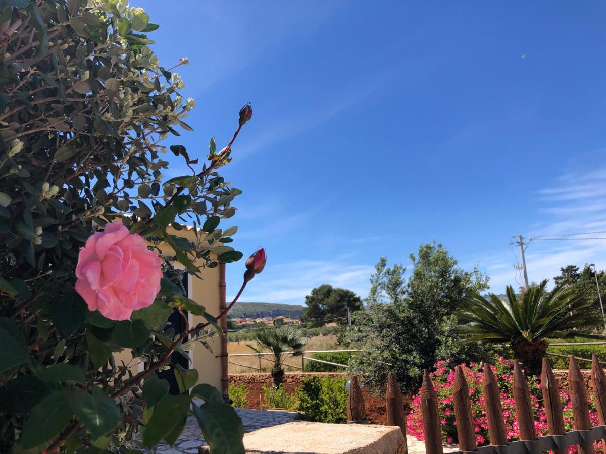 La Villa Dei Girasoli Custonaci Bagian luar foto
